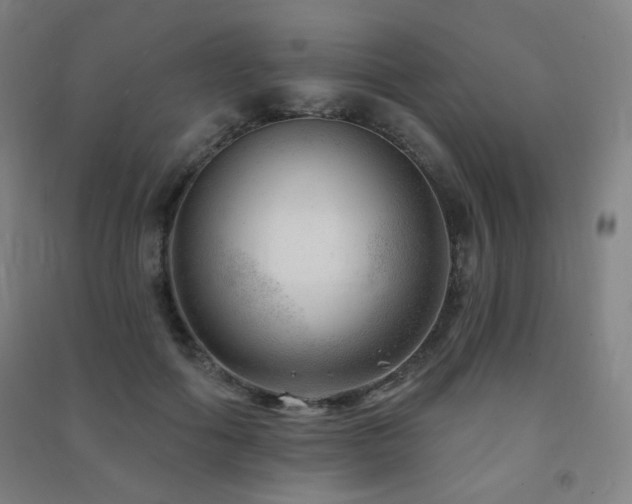 X0000091470602200708161400