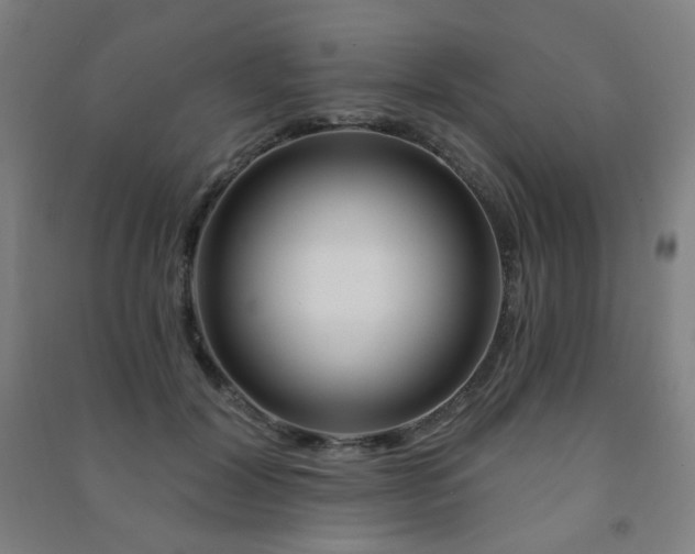 X0000091470604200708161400