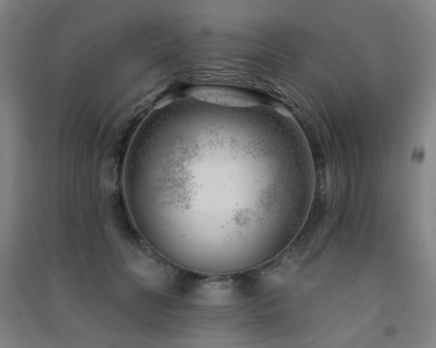 X0000091470606200708161400