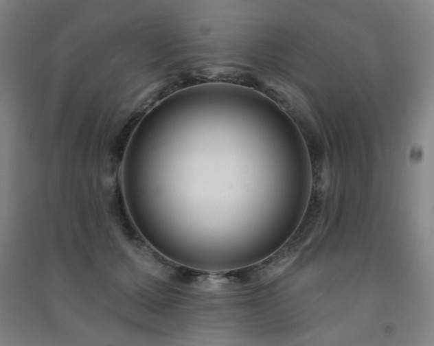 X0000091470607200708161400
