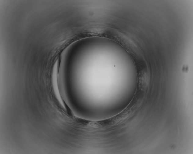 X0000091470608200708161400