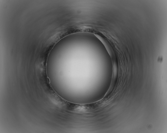 X0000091470611200708161400