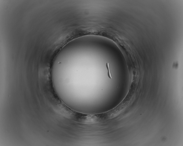 X0000091470612200708161400