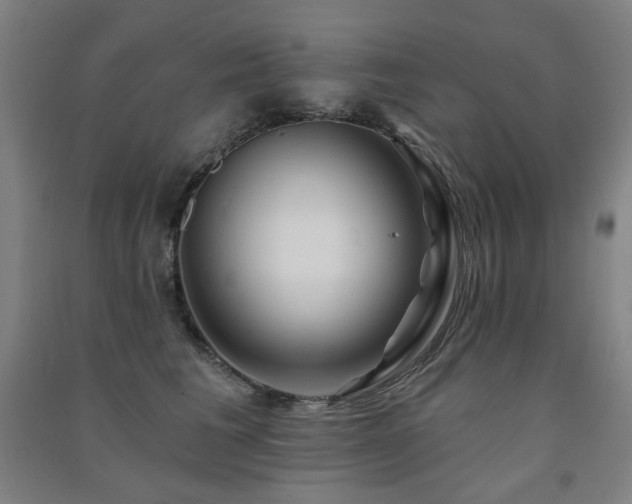 X0000091470613200708161400