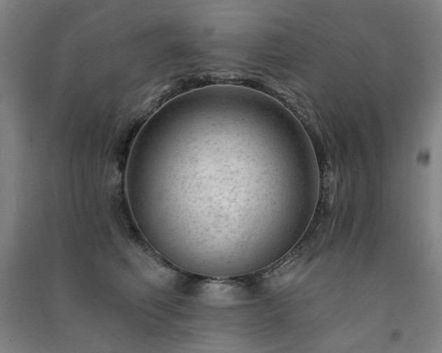 X0000091470614200708161400