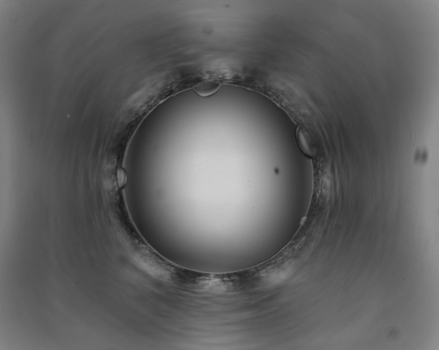 X0000091470616200708161400