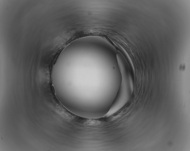 X0000091470617200708161400