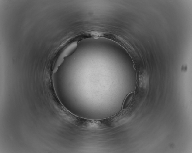 X0000091470618200708161400