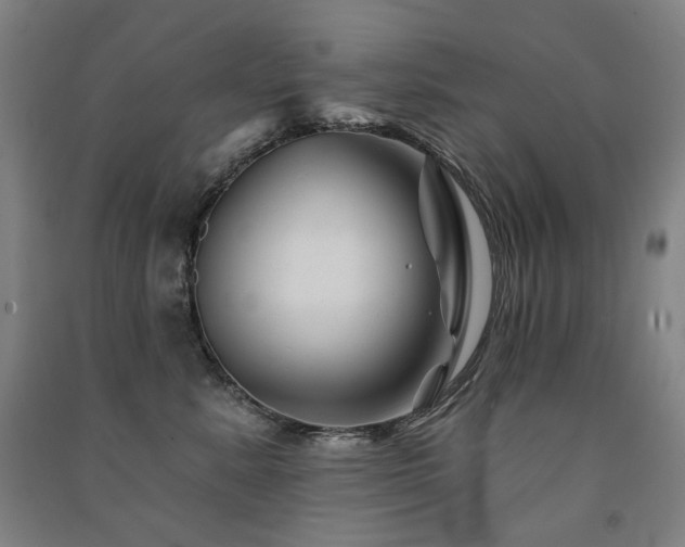 X0000091470619200708161400
