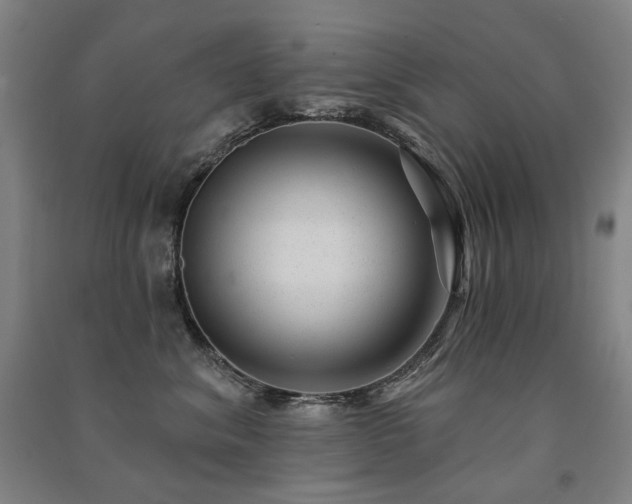 X0000091470620200708161400