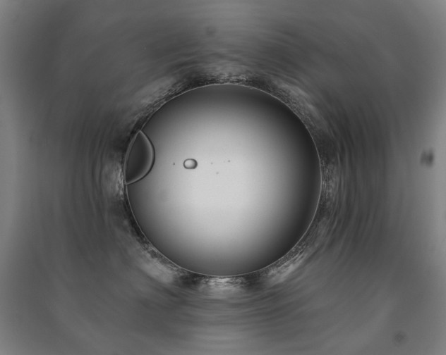 X0000091470622200708161400