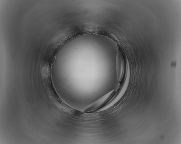 X0000091470623200708161400
