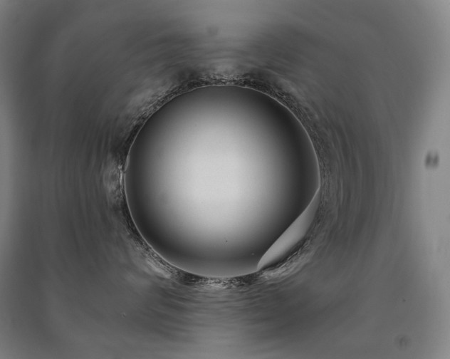 X0000091470624200708161400