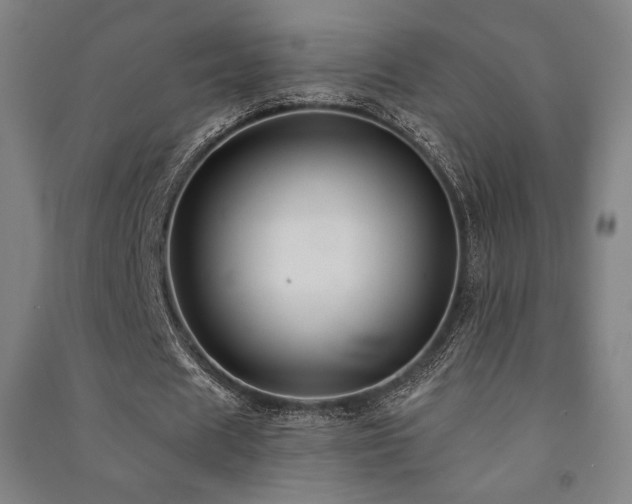 X0000091470625200708161359