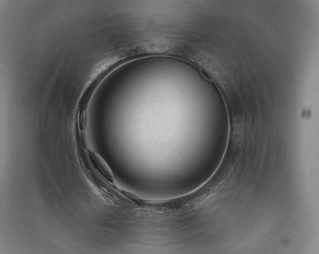 X0000091470626200708161359