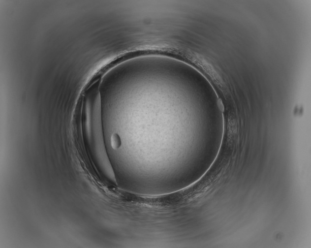 X0000091470628200708161359