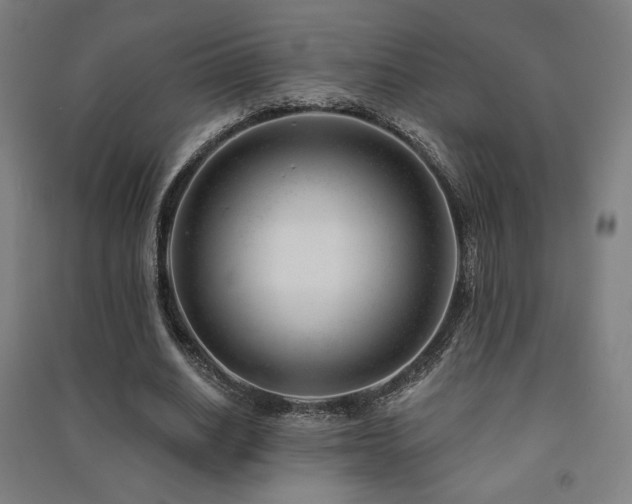 X0000091470630200708161359