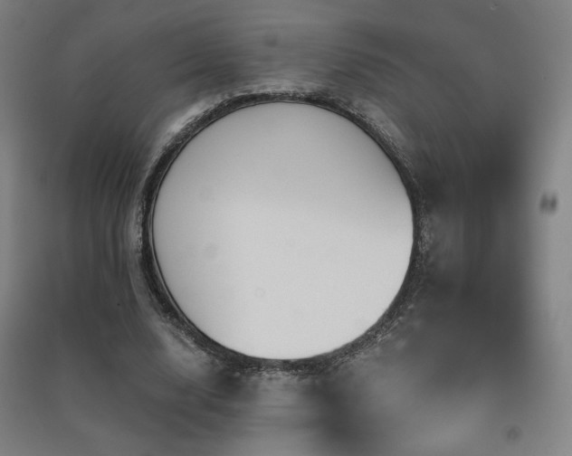 X0000091470632200708161359