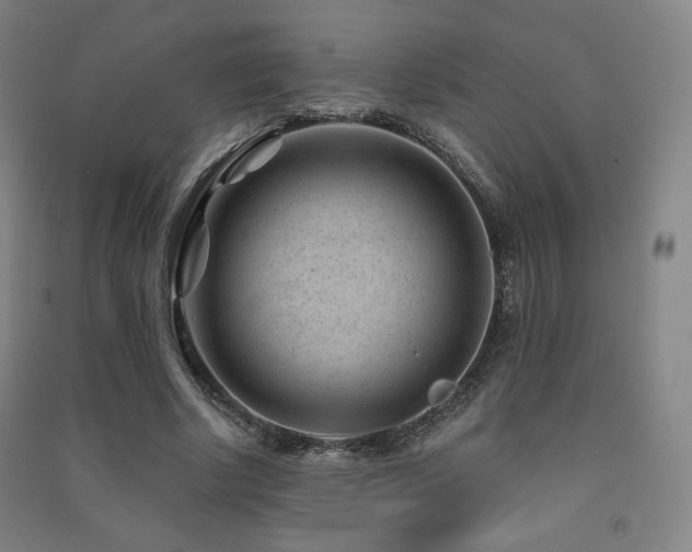 X0000091470634200708161400