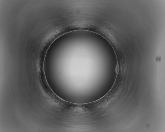 X0000091470635200708161400