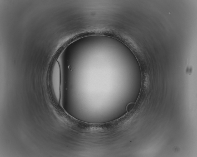 X0000091470636200708161400