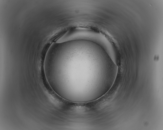 X0000091470637200708161400