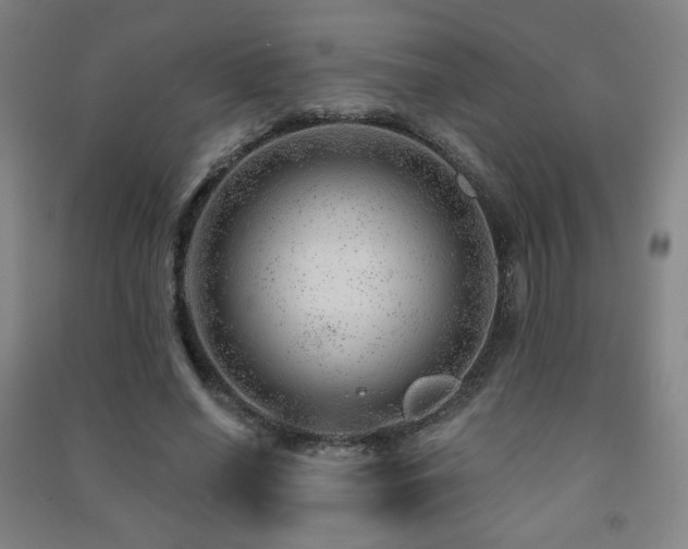 X0000091470638200708161400