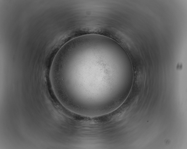 X0000091470643200708161400