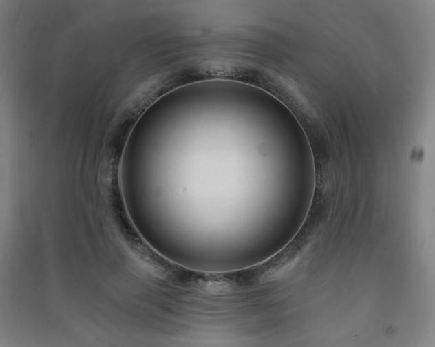 X0000091470645200708161400