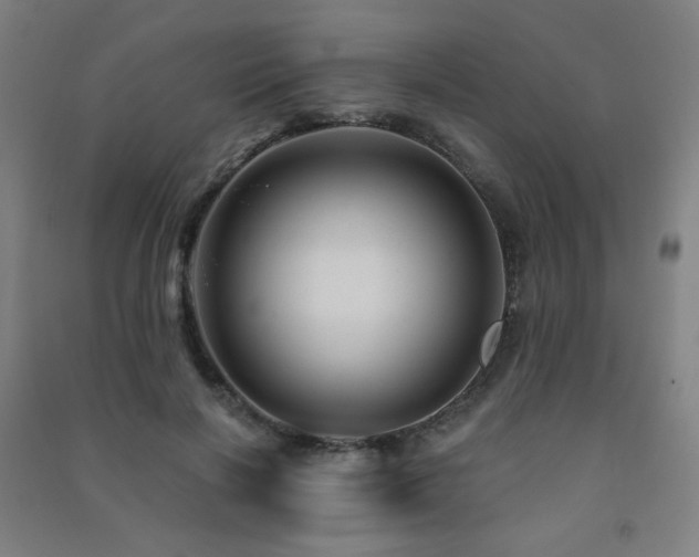 X0000091470646200708161400