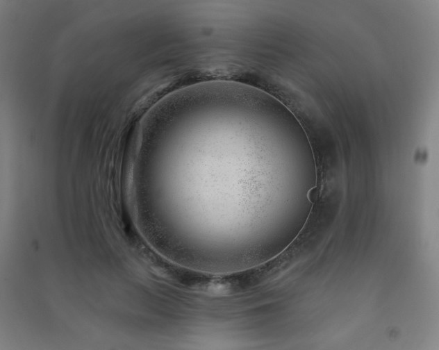 X0000091470647200708161400