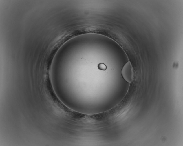 X0000091470648200708161400
