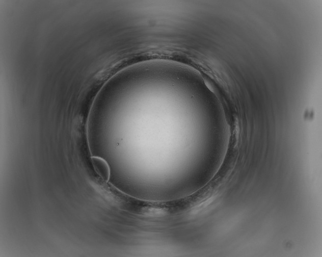 X0000091470649200708161400