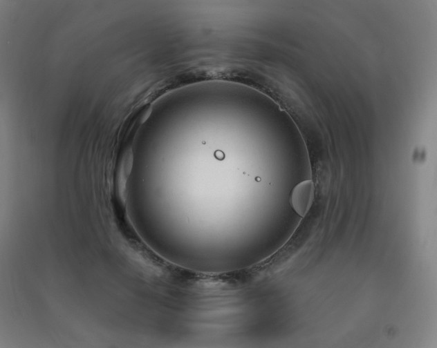 X0000091470650200708161400
