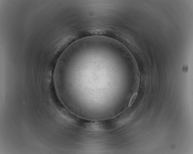 X0000091470652200708161400
