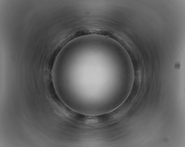 X0000091470653200708161400