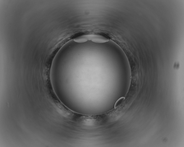 X0000091470658200708161400