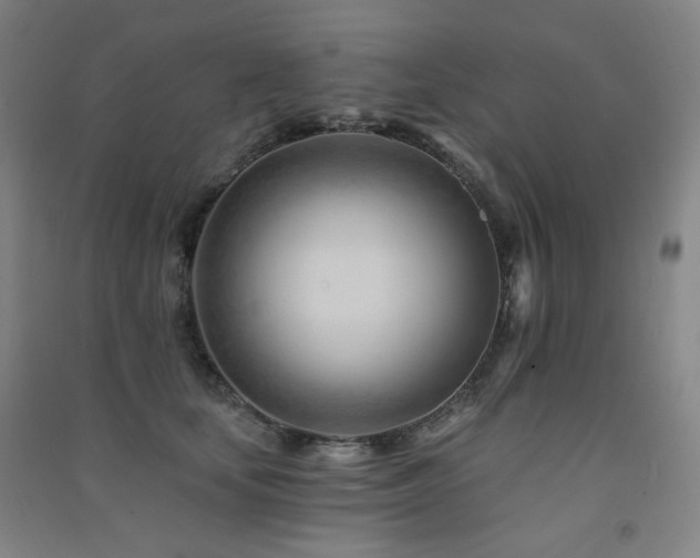 X0000091470659200708161400