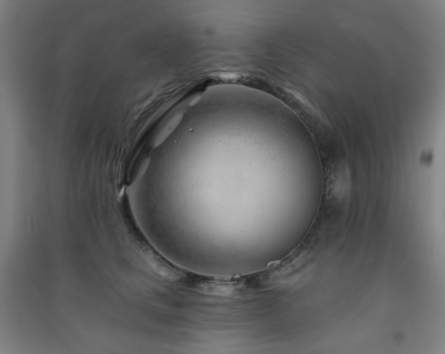 X0000091470661200708161400