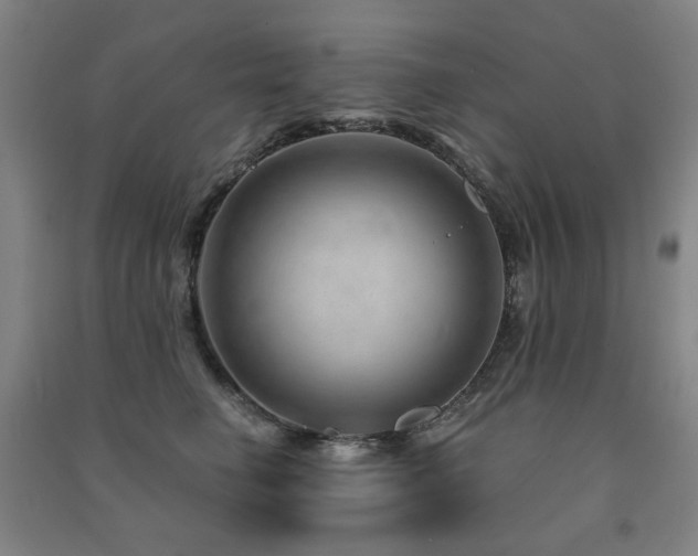 X0000091470662200708161400