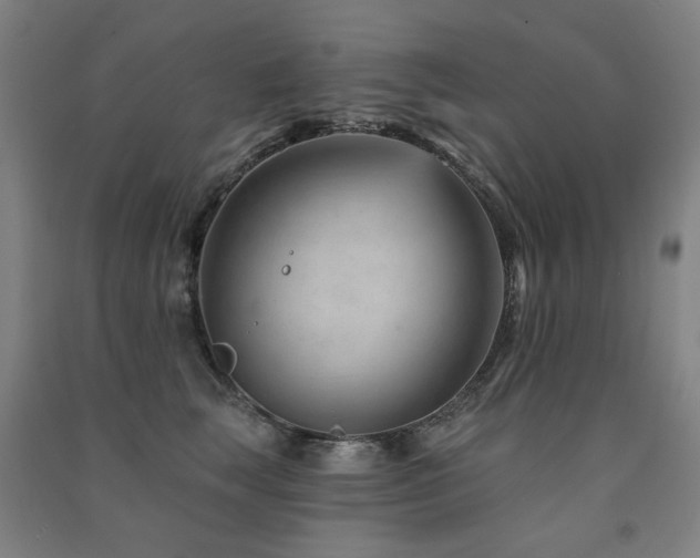 X0000091470663200708161400