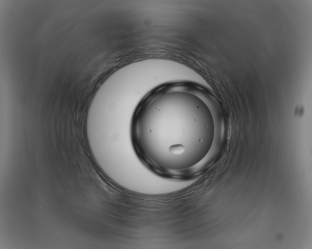 X0000091470664200708161400