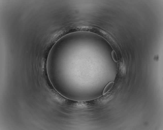 X0000091470668200708161400
