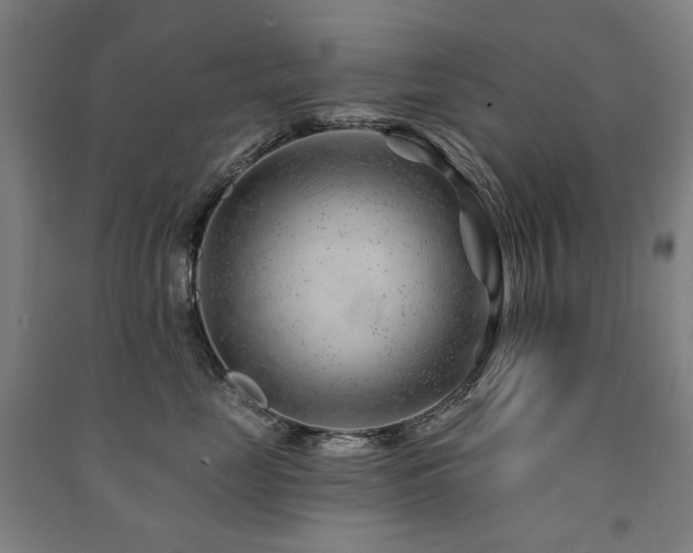 X0000091470669200708161400