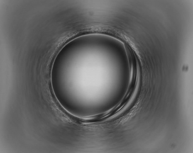 X0000091470673200708161359