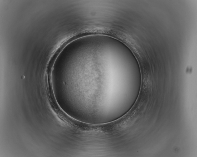 X0000091470674200708161359