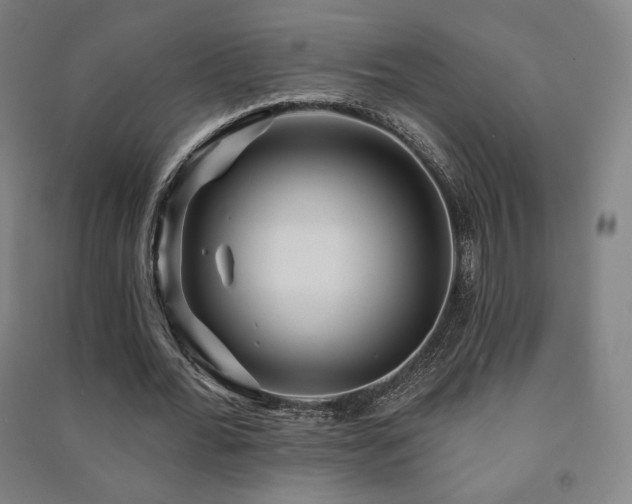 X0000091470676200708161359