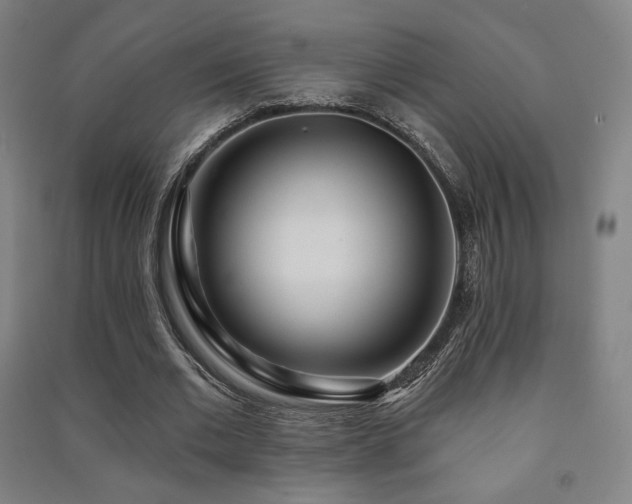 X0000091470677200708161359