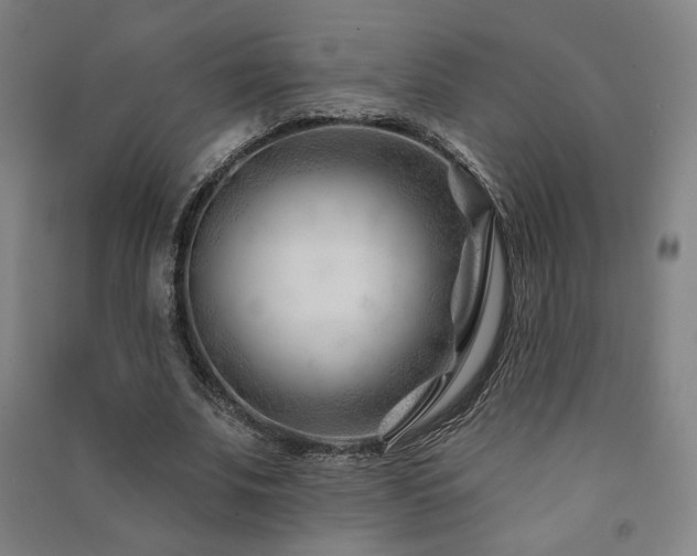 X0000091470679200708161359