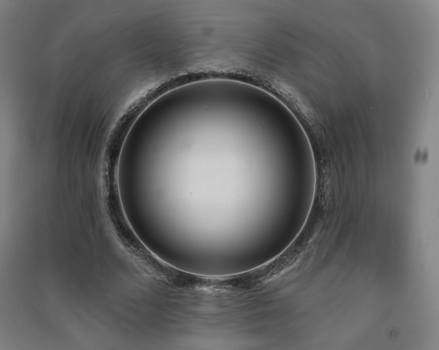 X0000091470680200708161359